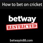 How to bet on cricket