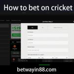 How to bet on cricket
