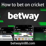 How to bet on cricket